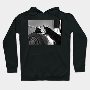 Cat Chat Hoodie